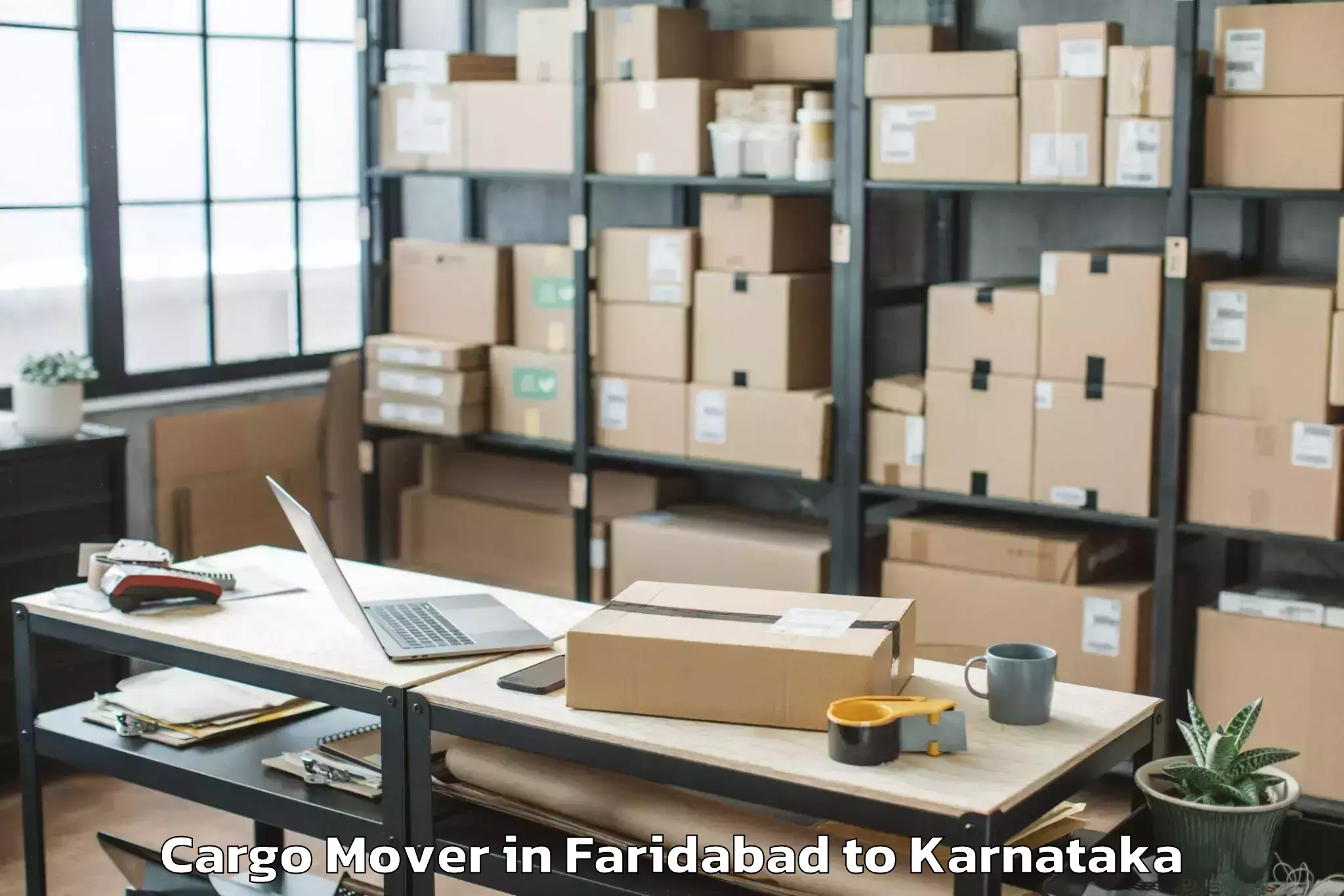 Easy Faridabad to Siddapura Cargo Mover Booking